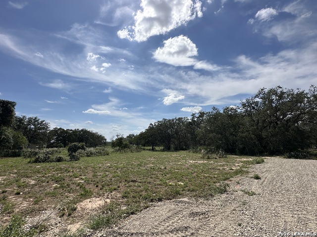 Image 17 of 24 For 5161 Cr302  