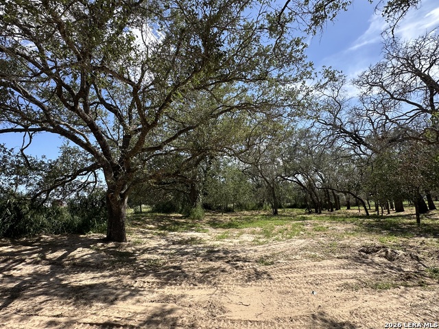 Image 19 of 24 For 5161 Cr302  