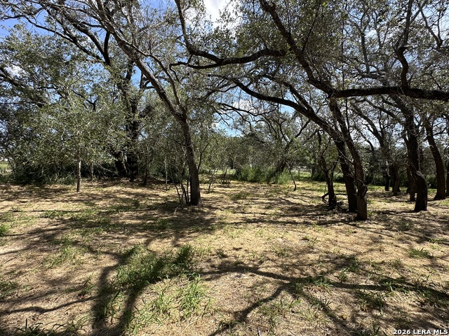 Image 20 of 24 For 5161 Cr302  