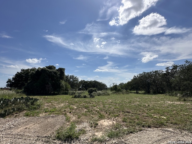 Image 22 of 24 For 5161 Cr302  