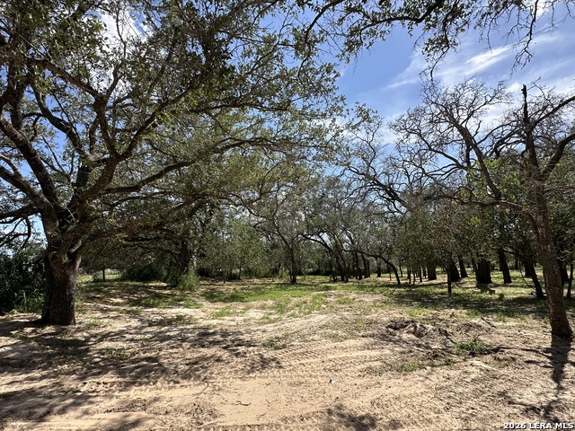 Image 23 of 24 For 5161 Cr302  