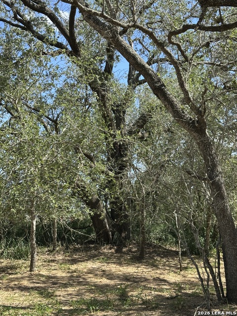 Image 24 of 24 For 5161 Cr302  