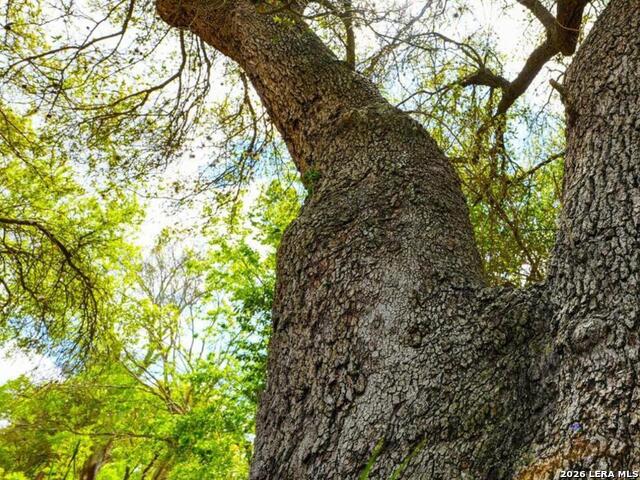 Image 24 of 25 For 137 Kitty Hawk