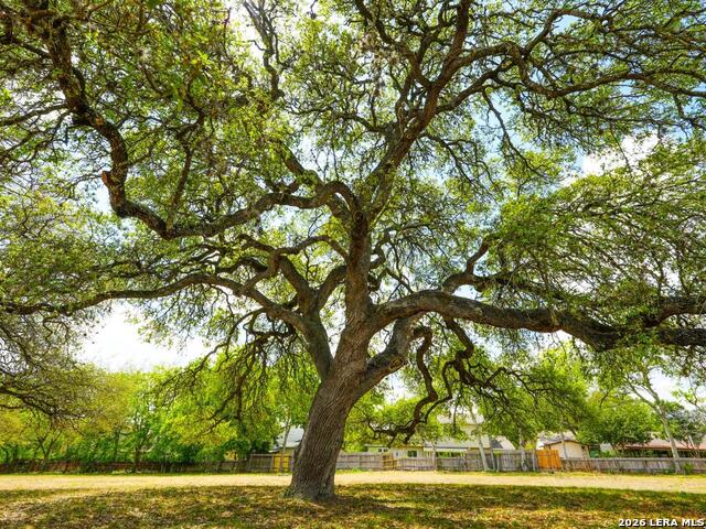 Image 3 of 25 For 137 Kitty Hawk