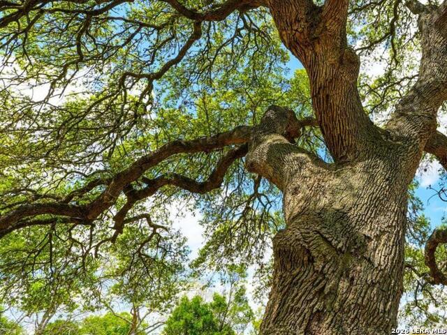 Image 5 of 25 For 137 Kitty Hawk