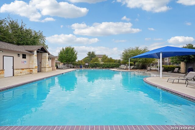 Image 54 of 55 For 11308 Silver Rose