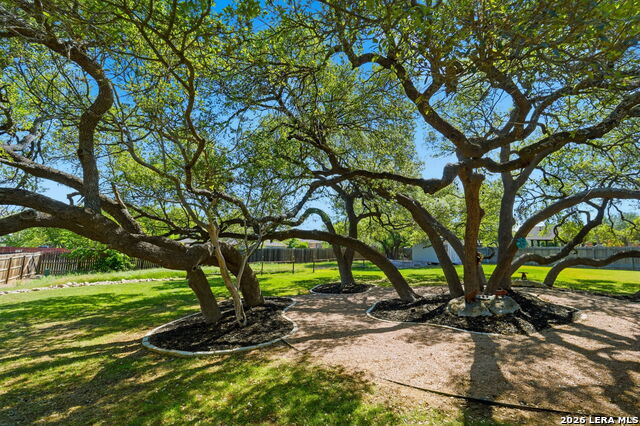 Image 29 of 38 For 1107 Saddle Horse