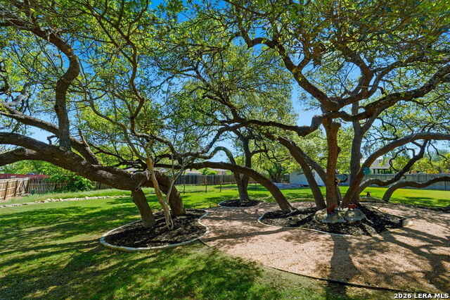 Image 30 of 38 For 1107 Saddle Horse