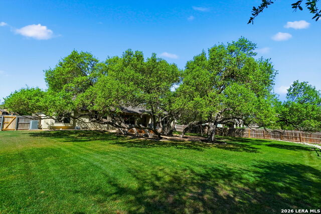 Image 33 of 38 For 1107 Saddle Horse