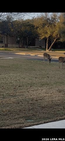 Image 38 of 38 For 1107 Saddle Horse