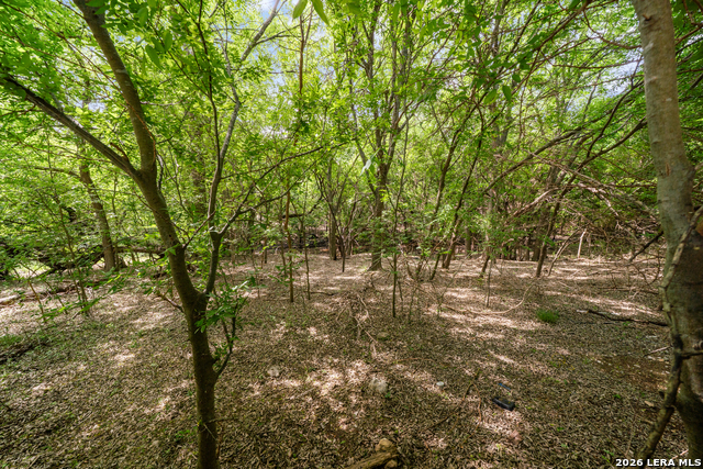 Image 34 of 37 For 4003 Arbor  