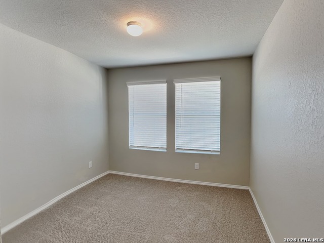 Image 11 of 17 For 2423 Pechora Pipit