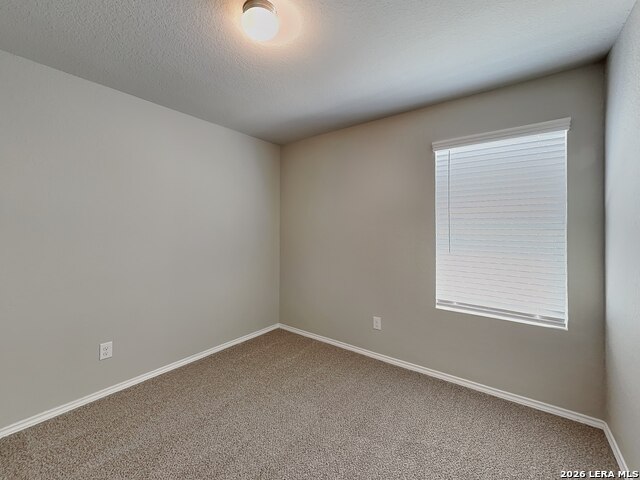 Image 13 of 17 For 2423 Pechora Pipit