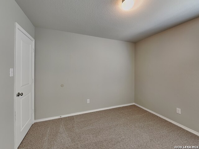 Image 14 of 17 For 2423 Pechora Pipit