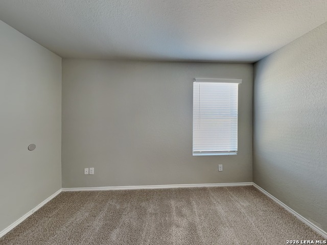 Image 7 of 17 For 2423 Pechora Pipit