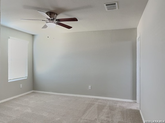 Image 8 of 17 For 2423 Pechora Pipit