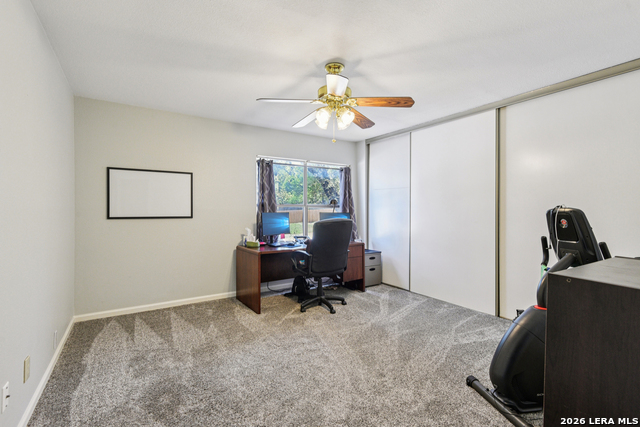 Image 22 of 50 For 15743 Wood Sorrel