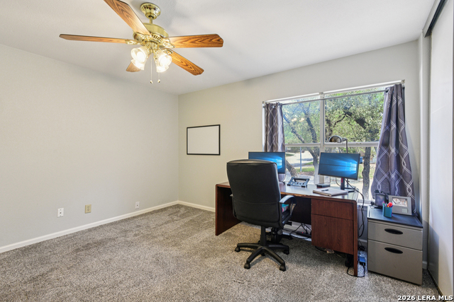 Image 23 of 50 For 15743 Wood Sorrel