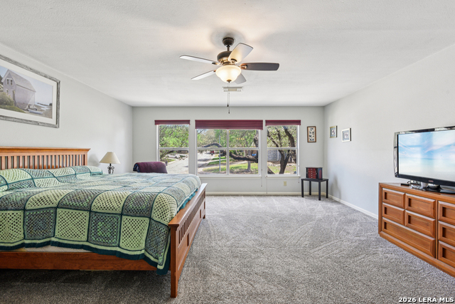 Image 31 of 50 For 15743 Wood Sorrel