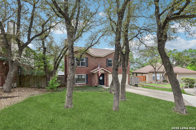 Image 4 of 50 For 15743 Wood Sorrel