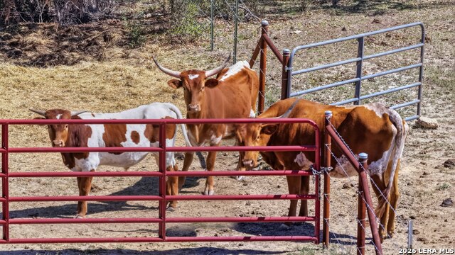 Details for 11387 Fm 32  , Fischer, TX 78623