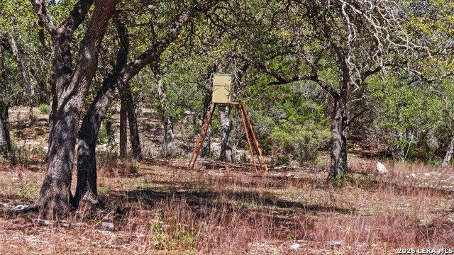 Listing photo id 18 for 11387 Fm 32  