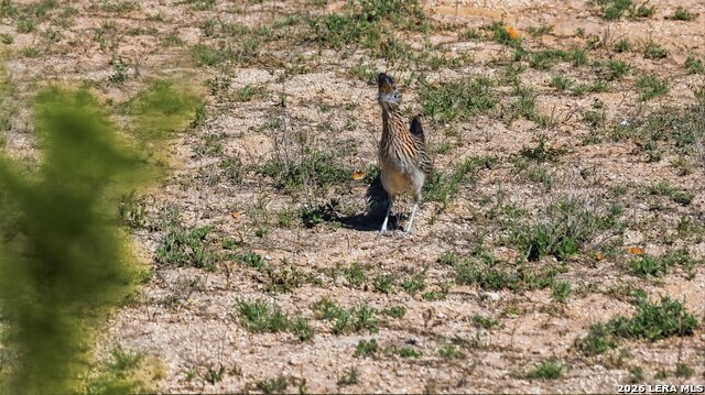 Listing photo id 4 for 11387 Fm 32  