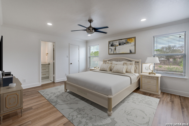 Image 12 of 28 For 7231 Dwarf Palm