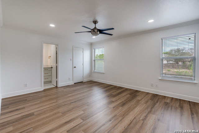 Image 13 of 28 For 7231 Dwarf Palm