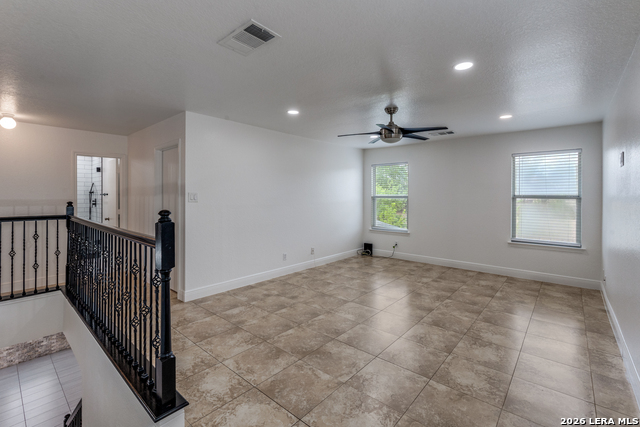 Image 16 of 28 For 7231 Dwarf Palm