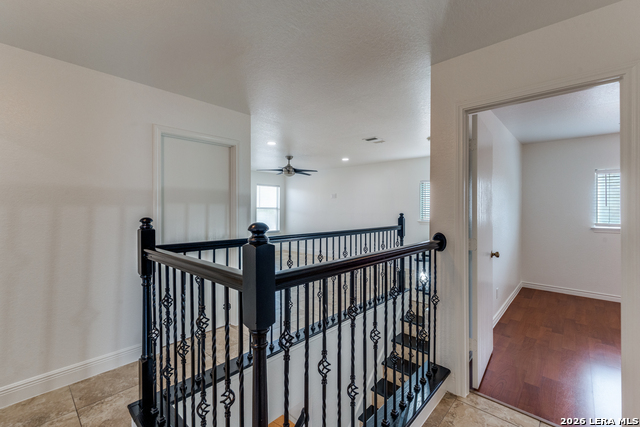 Image 17 of 28 For 7231 Dwarf Palm