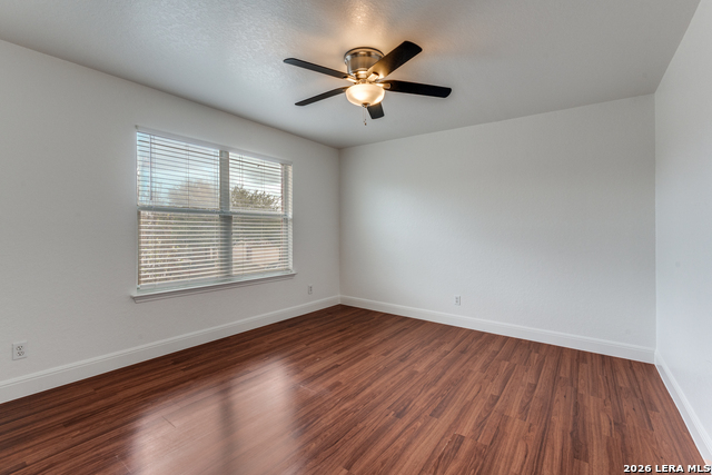 Image 20 of 28 For 7231 Dwarf Palm