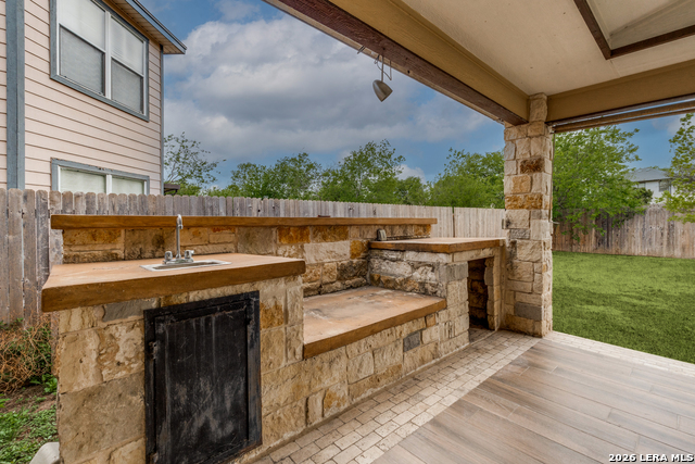 Image 25 of 28 For 7231 Dwarf Palm