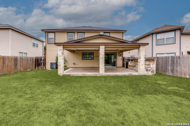 Image 27 of 28 For 7231 Dwarf Palm