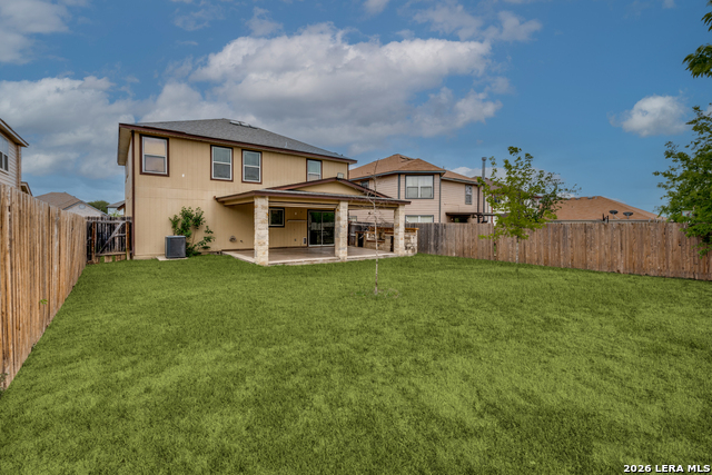 Image 28 of 28 For 7231 Dwarf Palm