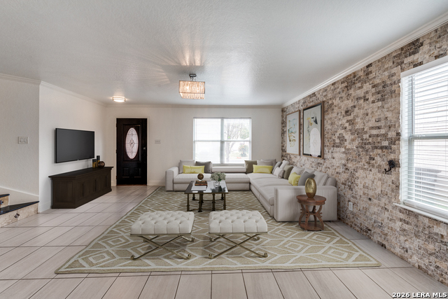 Image 3 of 28 For 7231 Dwarf Palm