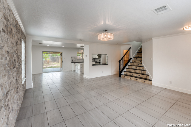 Image 5 of 28 For 7231 Dwarf Palm