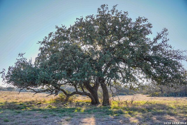 Image 24 of 38 For 0 Treadwell Ln