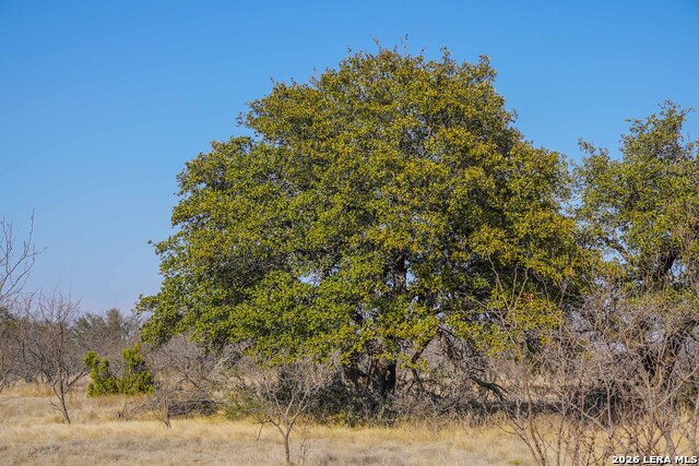 Image 30 of 38 For 0 Treadwell Ln