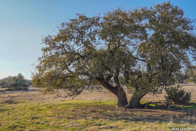 Image 35 of 38 For 0 Treadwell Ln