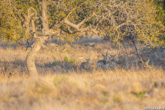 Image 9 of 38 For 0 Treadwell Ln