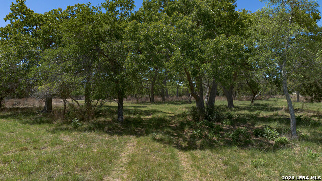 Image 12 of 18 For 2089 Sanctuary Ln