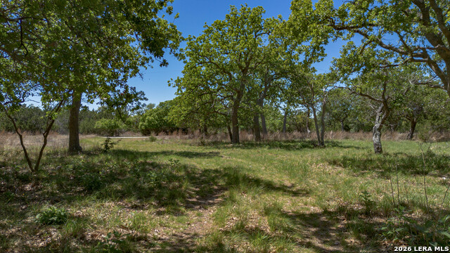 Image 13 of 18 For 2089 Sanctuary Ln