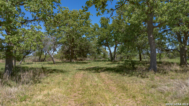 Image 17 of 18 For 2089 Sanctuary Ln