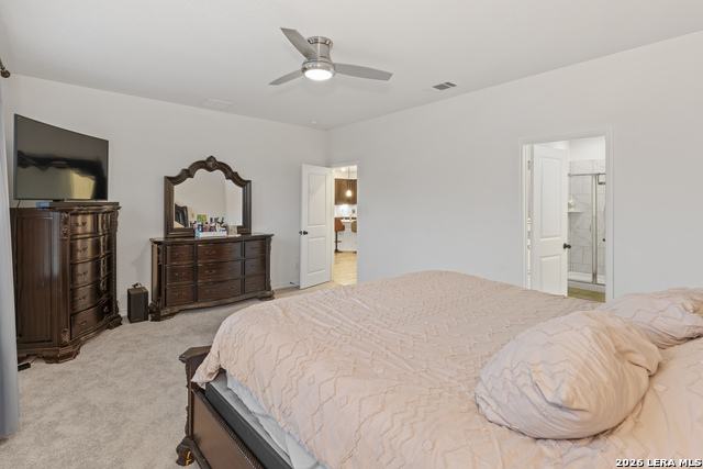 Image 12 of 22 For 5714 Agave Spine