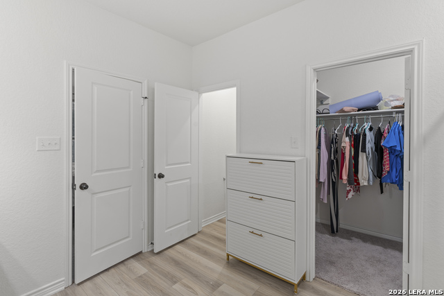 Image 14 of 22 For 5714 Agave Spine