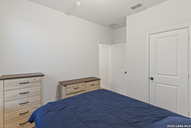 Image 15 of 22 For 5714 Agave Spine