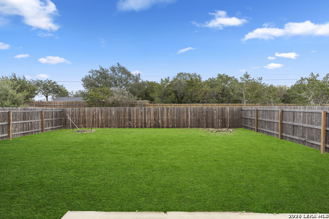 Image 21 of 22 For 5714 Agave Spine