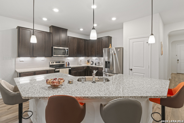 Image 8 of 22 For 5714 Agave Spine