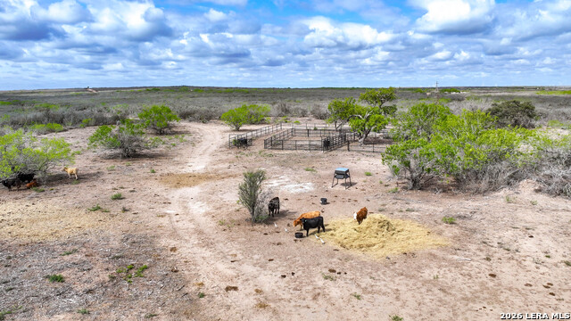 Image 12 of 38 For 5518 County Road 310